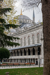 Istanbul, Turquie, rue et mosqu&eacute;e bleue