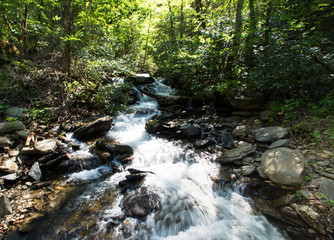 Catawba Falls, North Carolina