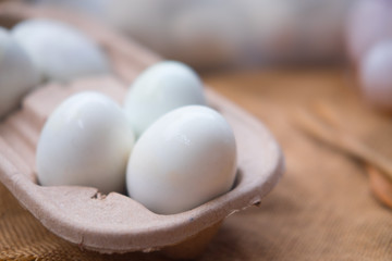 White eggs in carton container