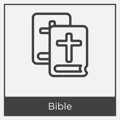 Obraz premium Bible icon isolated on white background