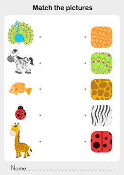 Match the picture animal fur and skin pattern. Worksheet for education.