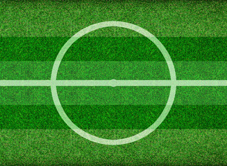 gras im garten und fussballfeld © Igor