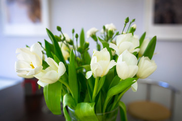 Bouquet of white tulips on the table