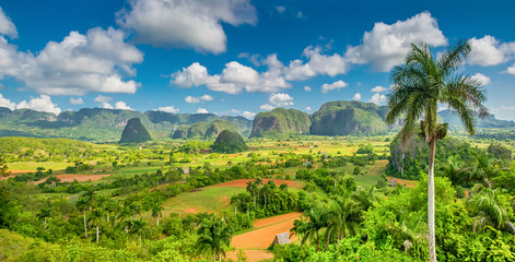 Viñales Valley with the Sierra de los Organos mountains in the background - obrazy, fototapety, plakaty