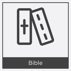 Bible icon isolated on white background