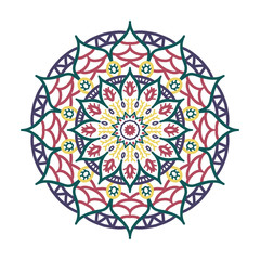 Modern mandala vector