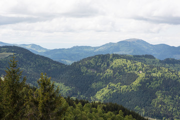 Black forest germany, view from Hochkopf 1263m Todtmoos, Präg