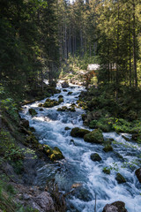 Bachlauf im Gebirge