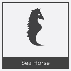 Sea Horse icon isolated on white background