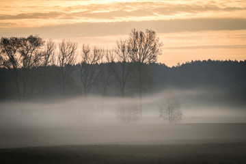 The Fog © Ben.Photoholic