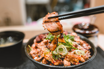 Pork, beef, meat, rice, Donburimono