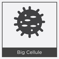 Big Cellule icon isolated on white background