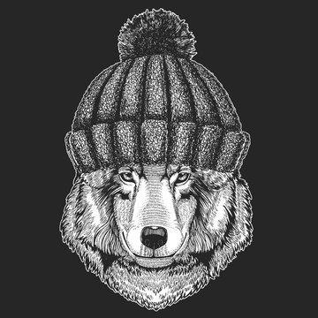 Cute animal wearing knitted winter hat Wolf Dog Hand drawn image for tattoo, emblem, badge, logo, patch