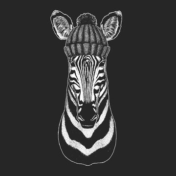 Cute animal wearing knitted winter hat Zebra Horse Hand drawn illustration for tattoo, emblem, badge, logo, patch