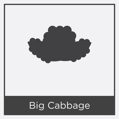Big Cabbage icon isolated on white background