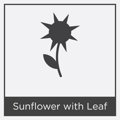 Sunflower with Leaf icon isolated on white background