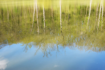 Reflection of trees in blue water