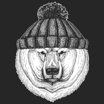Cute animal wearing knitted winter hat Big polar bear, White bear Hand drawn illustration for tattoo, t-shirt, emblem, badge, logo, patch