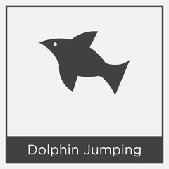 Dolphin Jumping icon isolated on white background