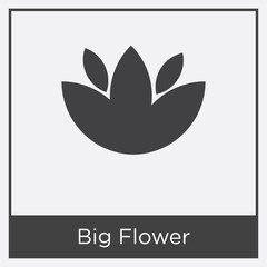 Big Flower icon isolated on white background