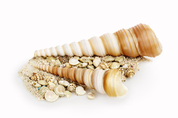 seashells and sand
