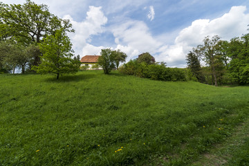 Fototapeta na wymiar Summer landscape in Czech republic.