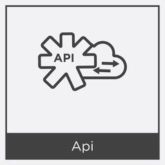 Api icon isolated on white background