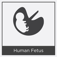 Human Fetus icon isolated on white background