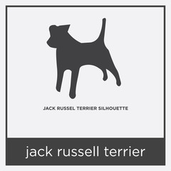 jack russell terrier icon isolated on white background