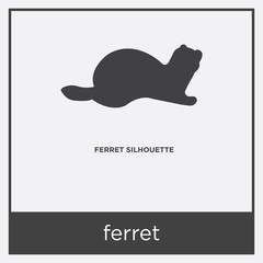 ferret icon isolated on white background