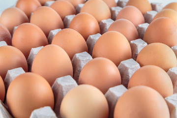 Chicken eggs are fresh in a cardboard package made of recycled waste paper.