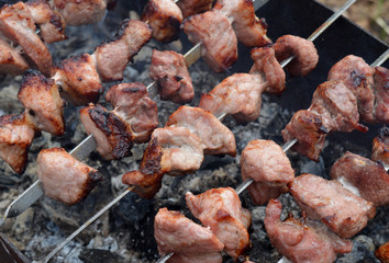 fried meat kebab grilled on charcoal fire for a celebratory dinner