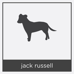 jack russell icon isolated on white background