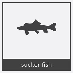 sucker fish icon isolated on white background