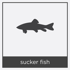 sucker fish icon isolated on white background