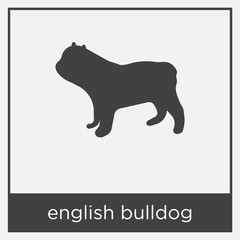 Obraz na płótnie Canvas english bulldog icon isolated on white background