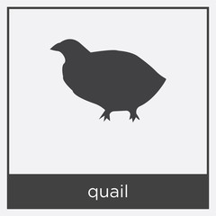 quail icon isolated on white background