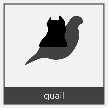 quail icon isolated on white background