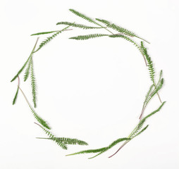 Round frame wreath made of spring leaves isolated on white background. Top view. Flat lay.