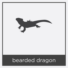 bearded dragon icon isolated on white background