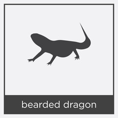 bearded dragon icon isolated on white background