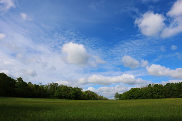 Fototapeta premium Beau ciel, nuages et prairie
