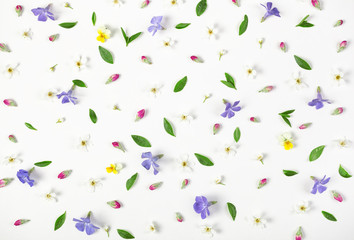 Floral pattern made of spring flowers, lilac wildflowers, pink buds and leaves isolated on white background. Flat lay. Top view.