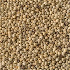 White pepper seeds as background texture. top view