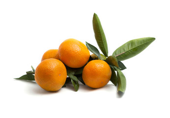 Fruits of mandarins and leaves. Isolated. Fresh fruits