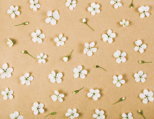 Floral pattern made of white spring flowers and buds on brown paper background. Flat lay. Top view.