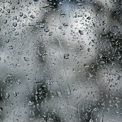 Rain background - drops close up. Beautiful background with drops