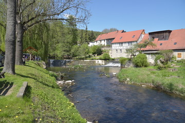 Fototapeta na wymiar Ort Buchfart am Fluss Ilm / Thüringen