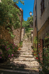 Fototapeta na wymiar Staircase rising in narrow alley at Chateaudouble, a quiet and tourist village with medieval origin on a sunny summer day. Located in the Var department, Provence region, southeastern France