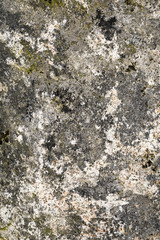 Gray and white rock with lichens in green and black, as a textured nature background
